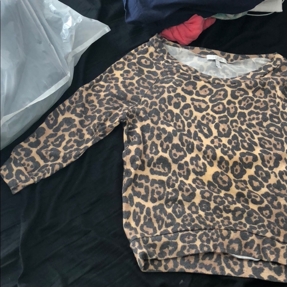 Delia’s cheetah